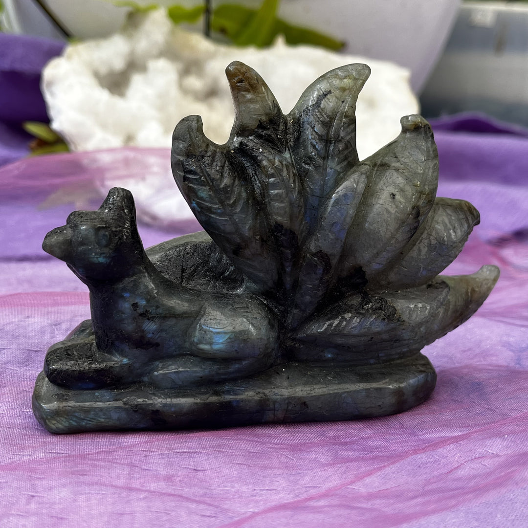Nine Tail Fox Labradorite 12.2 cm