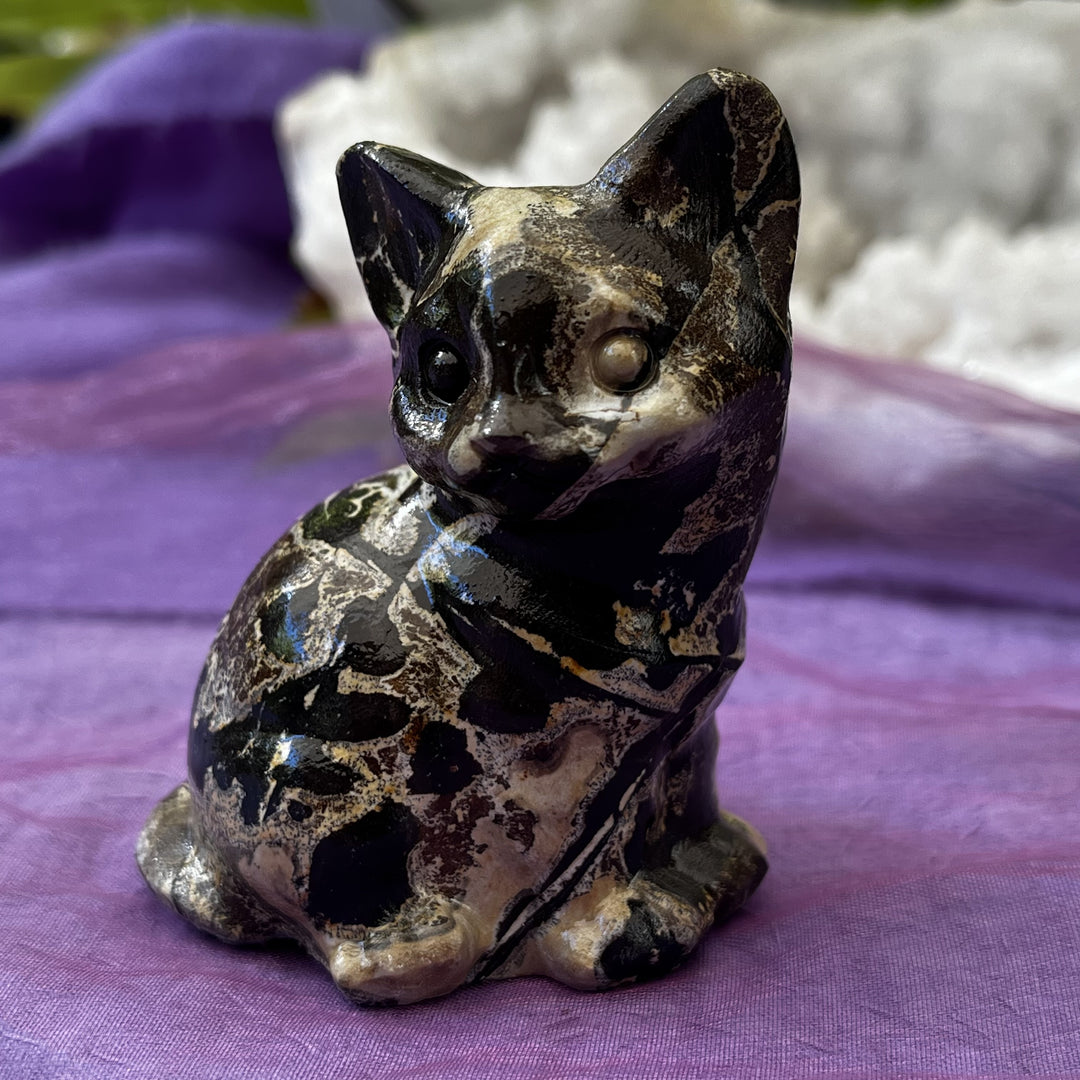 Cat Picture Jasper 7.7 cm