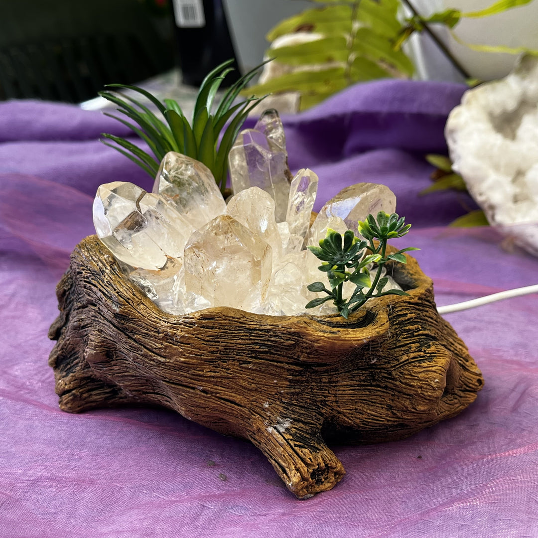 Log with Cluster LED Light