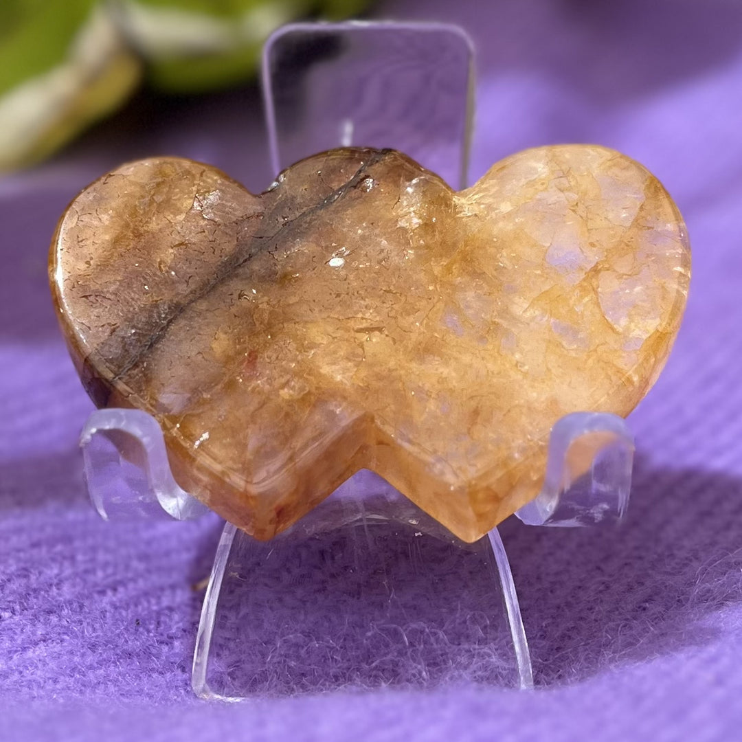 Heart Golden Healer Twin 5.6 cm