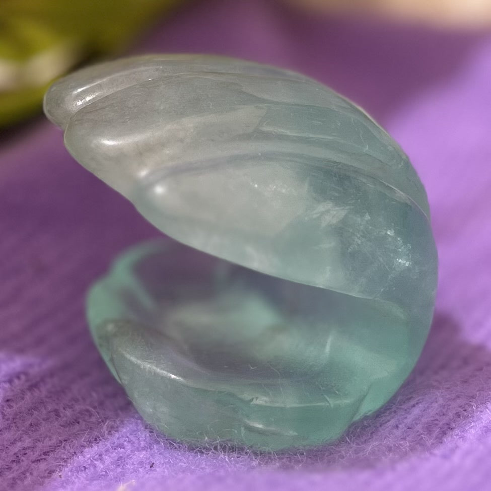 Clam Shell Fluorite Carving 5.3 cm