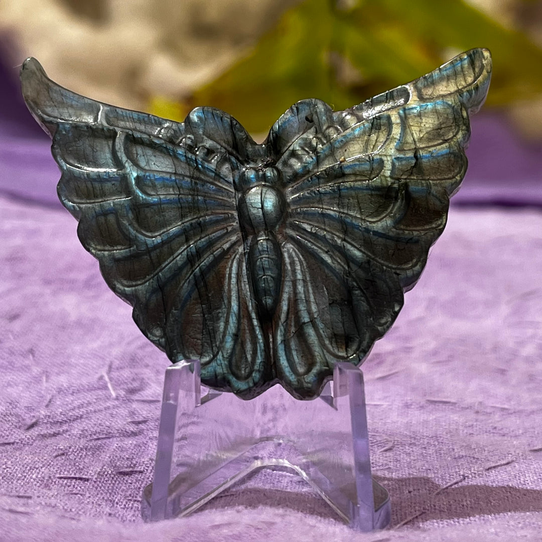 Carving Labradorite Small