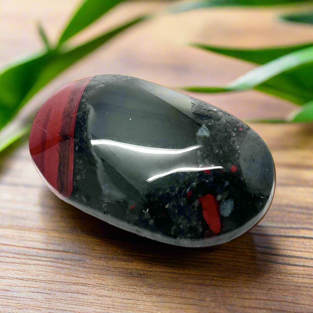 Palm Stone African Bloodstone 5.9 cm