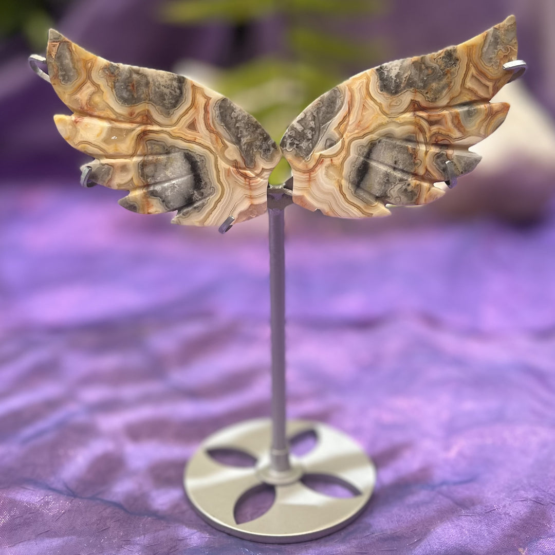 Butterfly Wings Crazy Lace Agate on Stand 9.8 cm