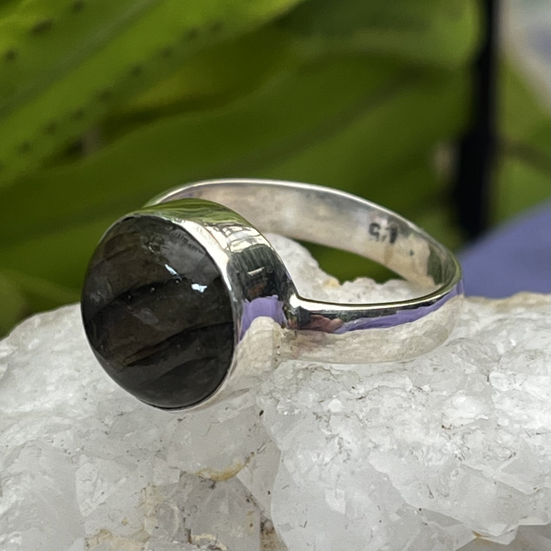 Ring Labradorite Round 1.0 cm | Carpe Diem With Remi