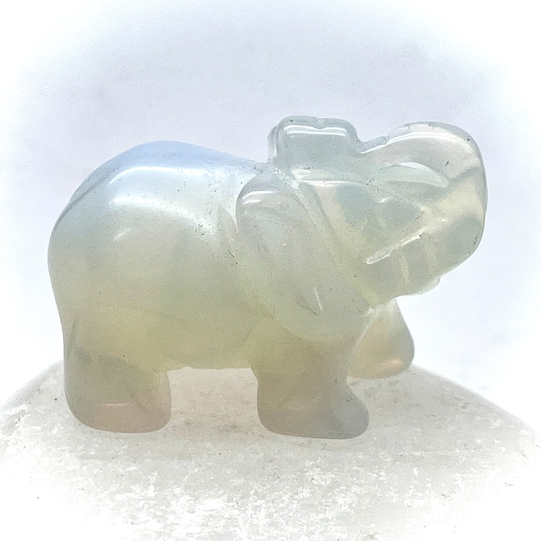 Elephant Opalite 5.5 cm