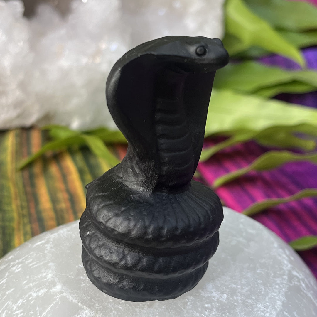 Snake Black 5.9 cm