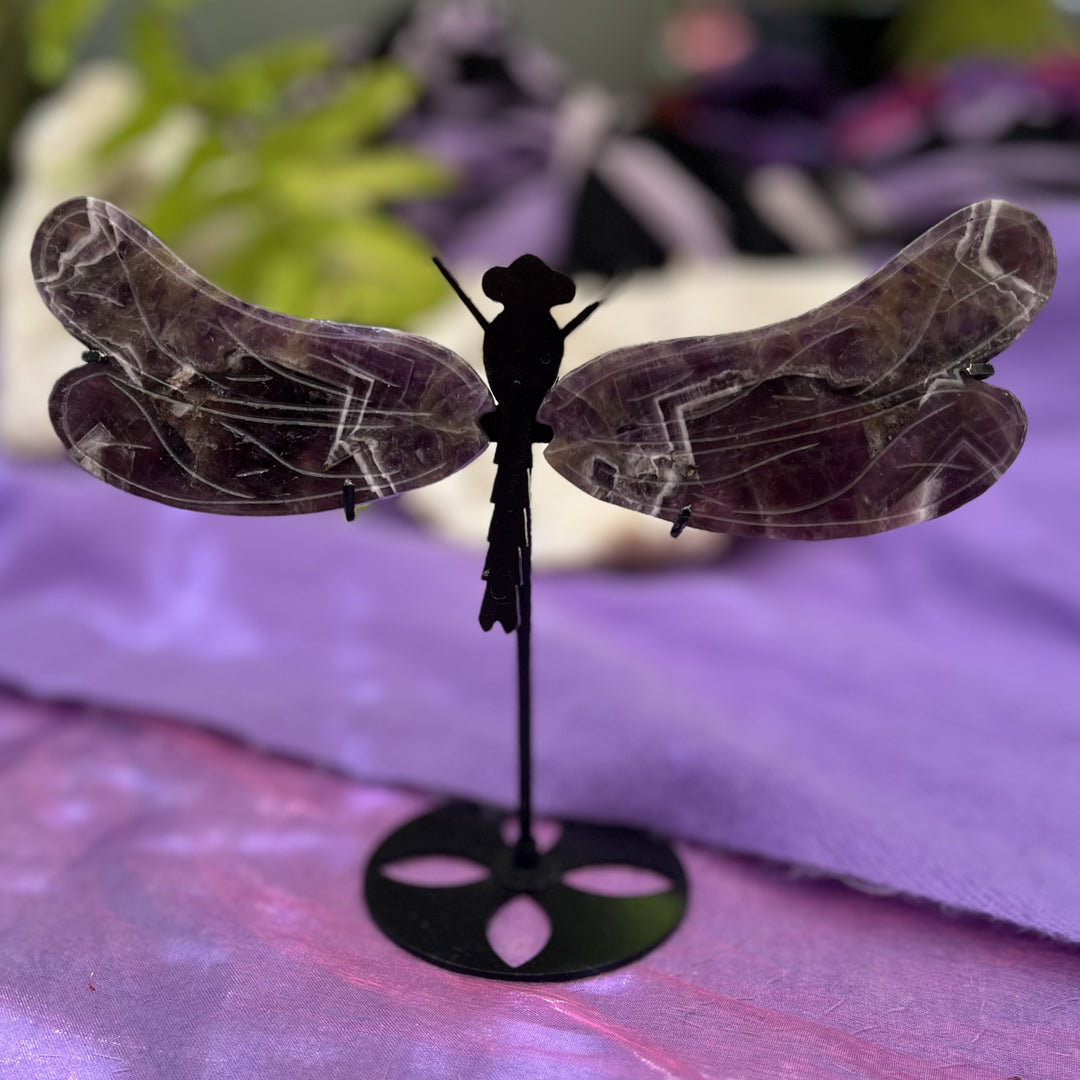Dragonfly Wing Amethyst on Stand