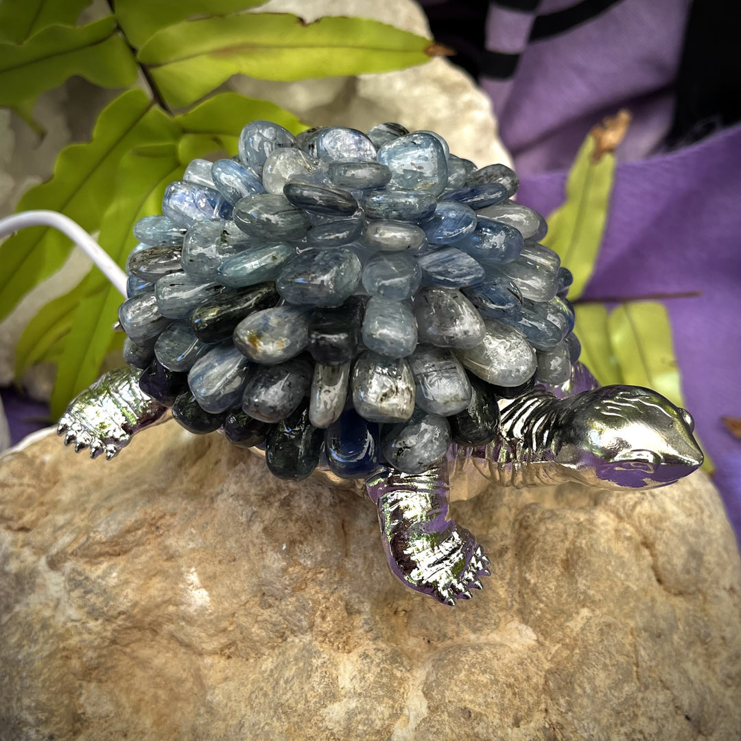 Turtle Light Kyanite USB with Crystal Chips