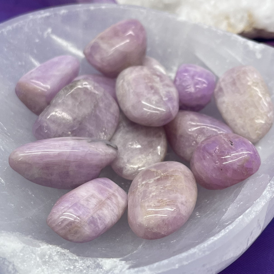 Kunzite Tumble Assorted