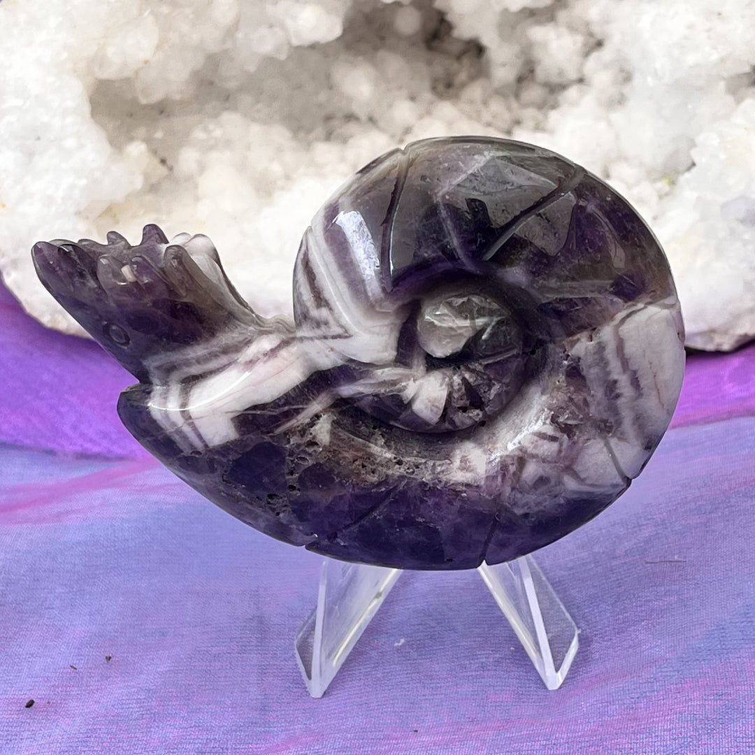 Snail Dream Amethyst on Stand 7.8 cm