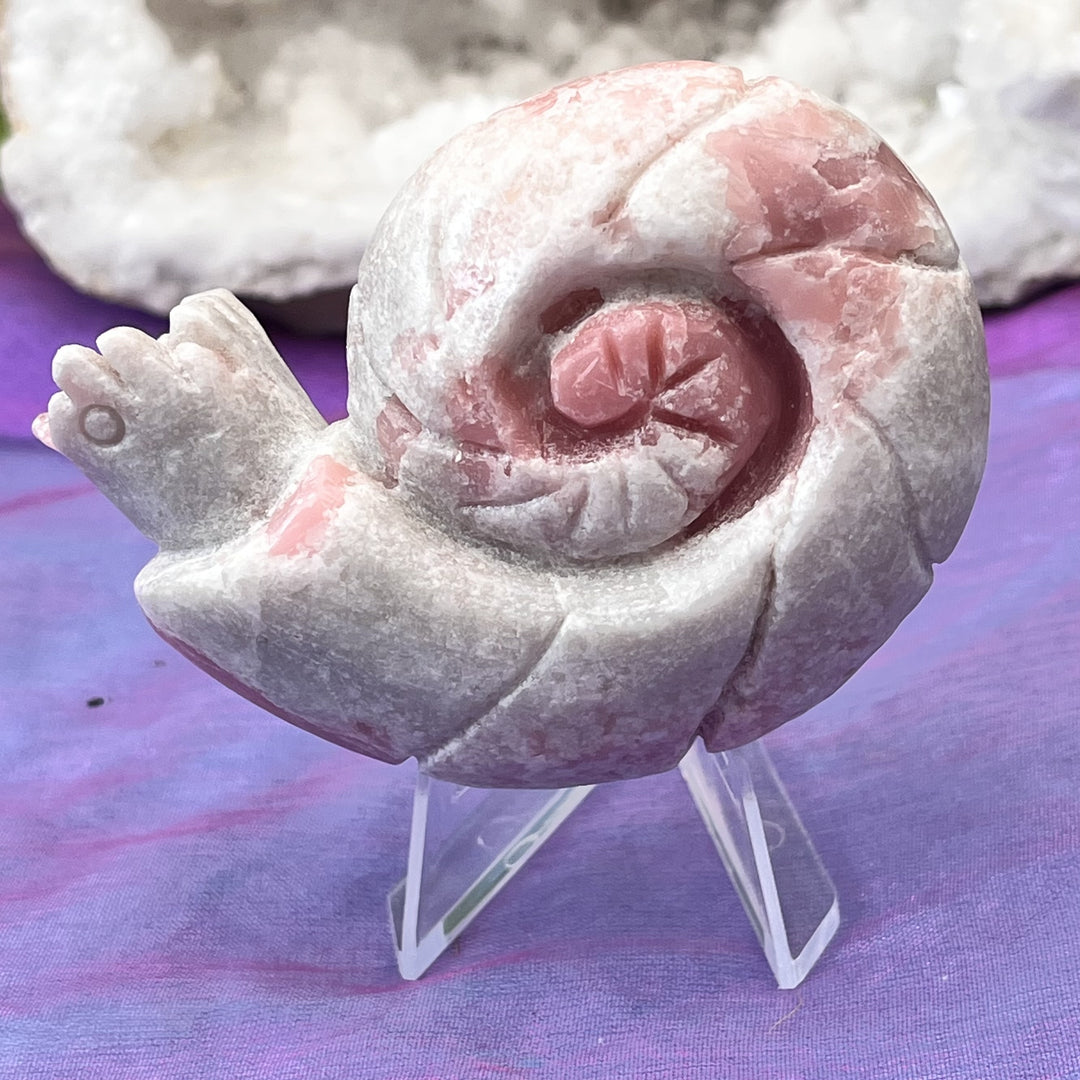 Snail Pink Opal on Stand 7.8 cm