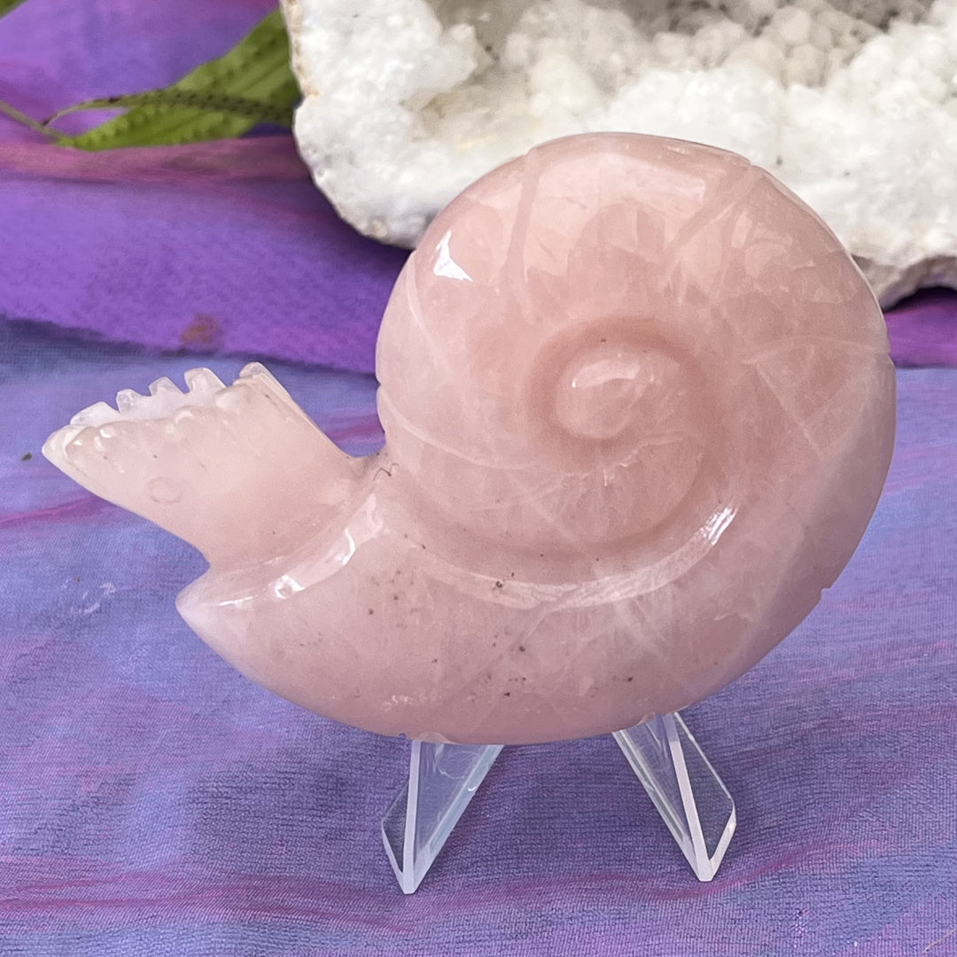 Snail Rose Quartz on Stand 7.8 cm