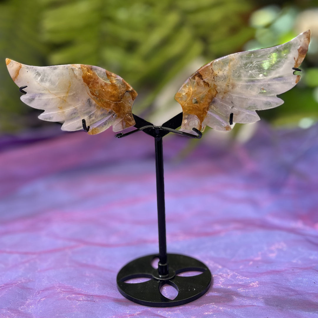 Wings Golden Healer on Stand 10 cm