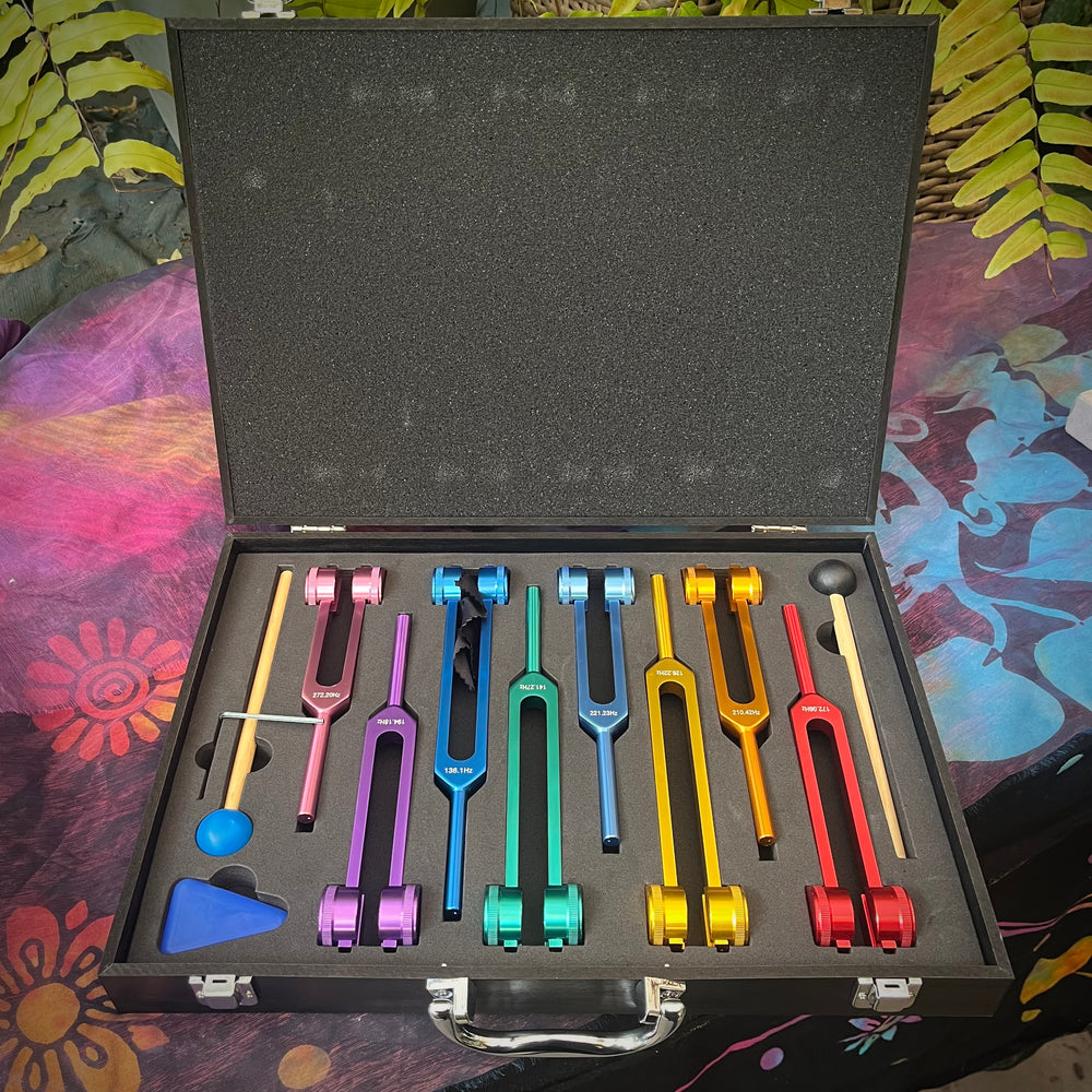 Tuning Fork Chakra Set Boxed | Carpe Diem with Remi