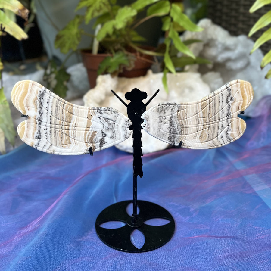 Dragonfly Wings Zebra Calcite on Stand | Carpe Diem with Remi