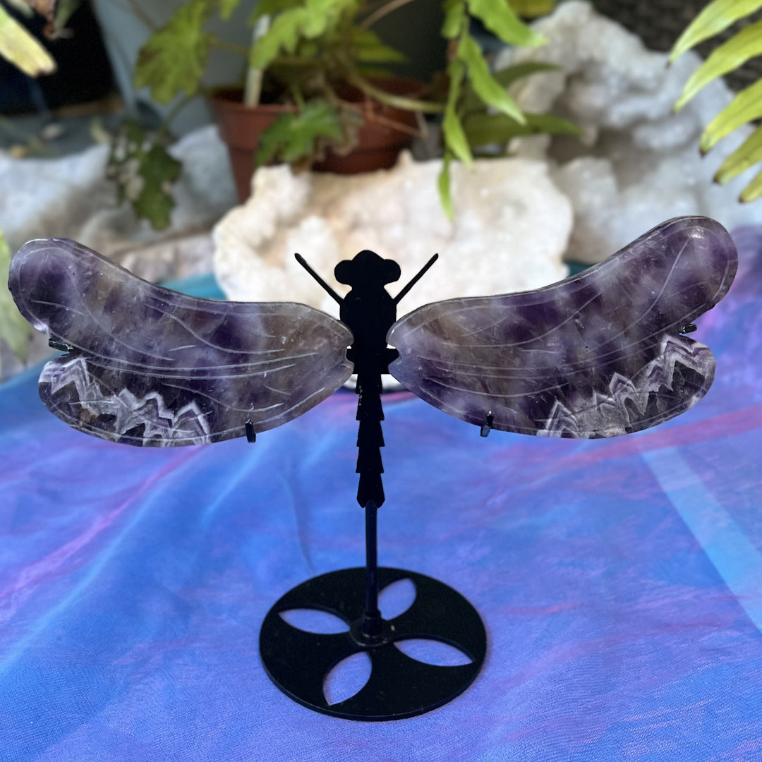 Dragonfly Wings Chevron Amethyst | Carpe Diem with Remi