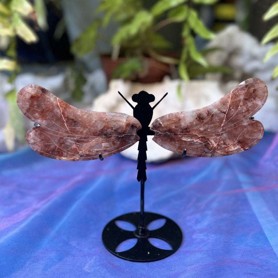 Dragonfly Wings Fire Quartz on Stand | Carpe Diem with Remi