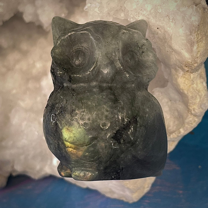 Owl Carving Labradorite | Carpe Diem With Remi