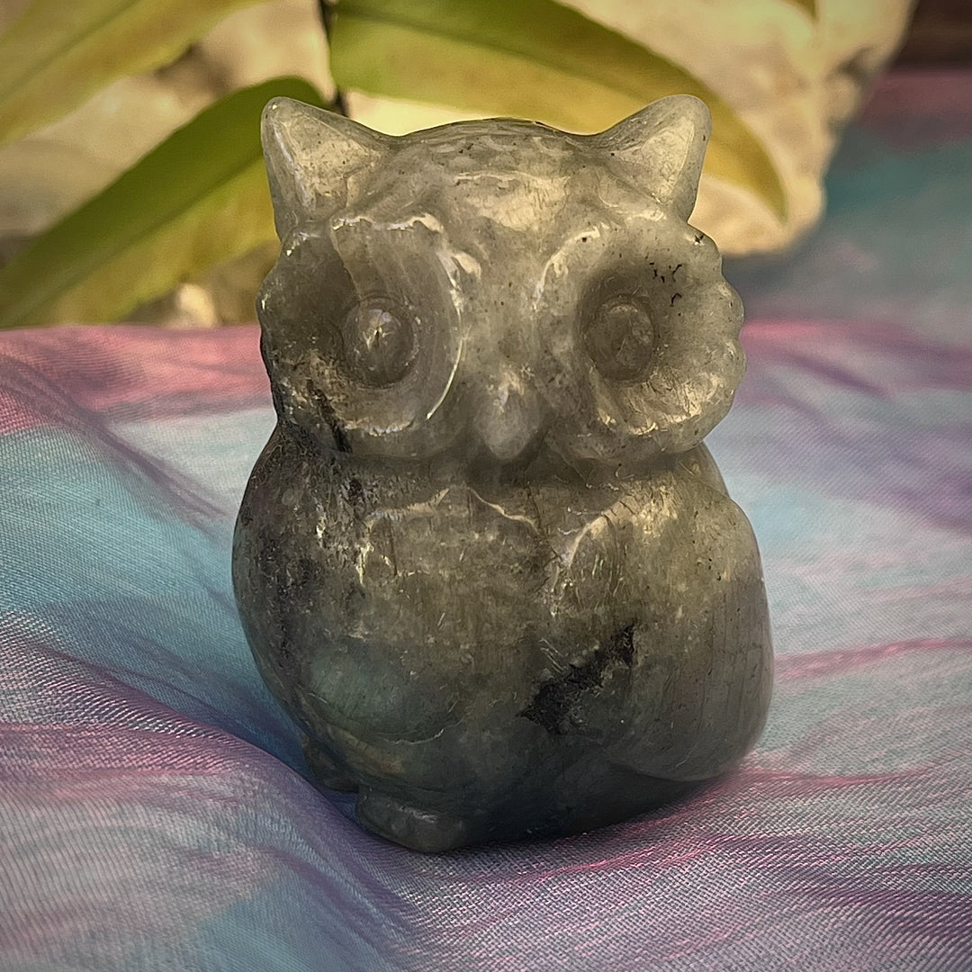 Owl Carving Labradorite | Carpe Diem With Remi