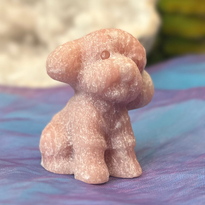 Crystal Toy Poodle Carving | Carpe Diem with Remi
