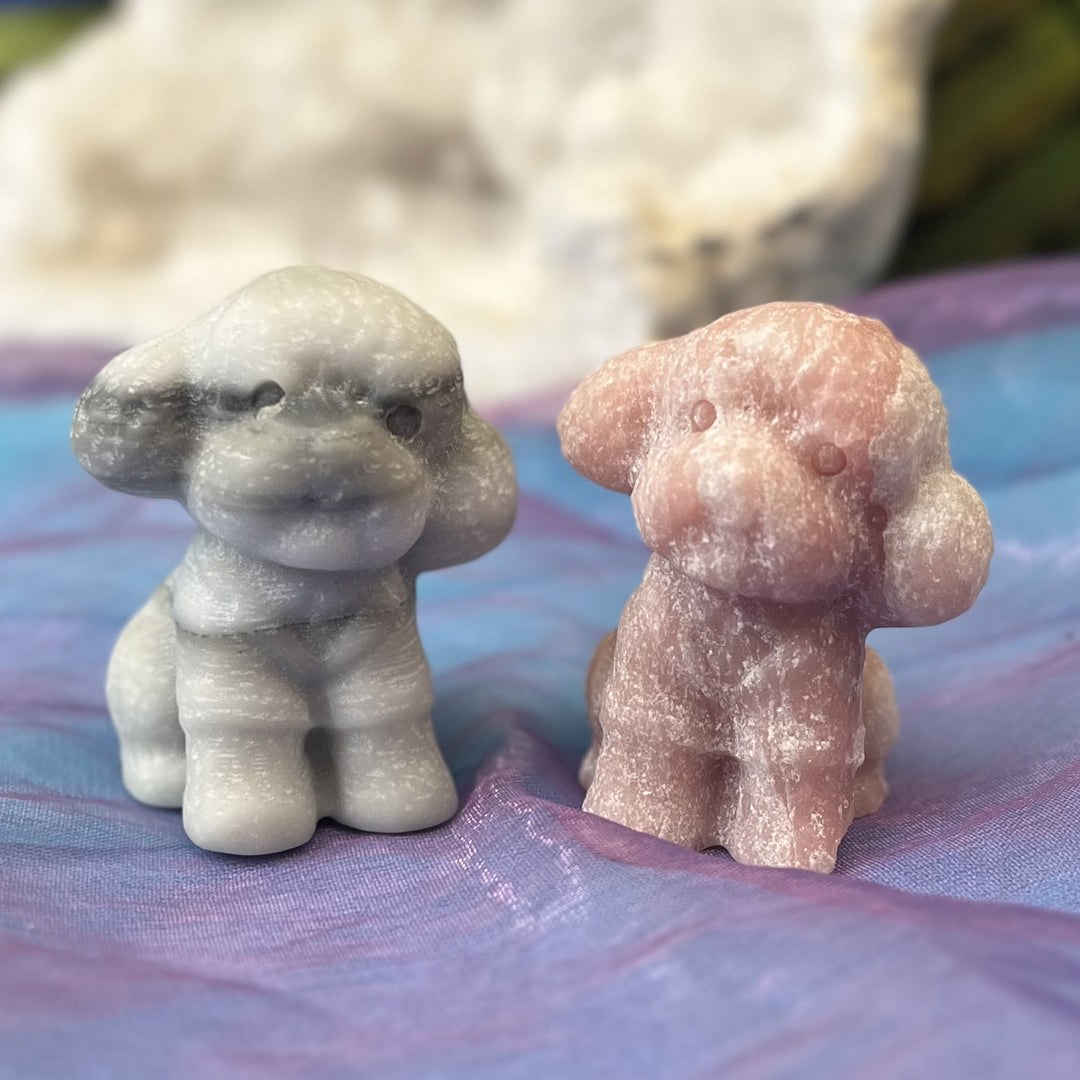 Crystal Toy Poodle Carving | Carpe Diem with Remi