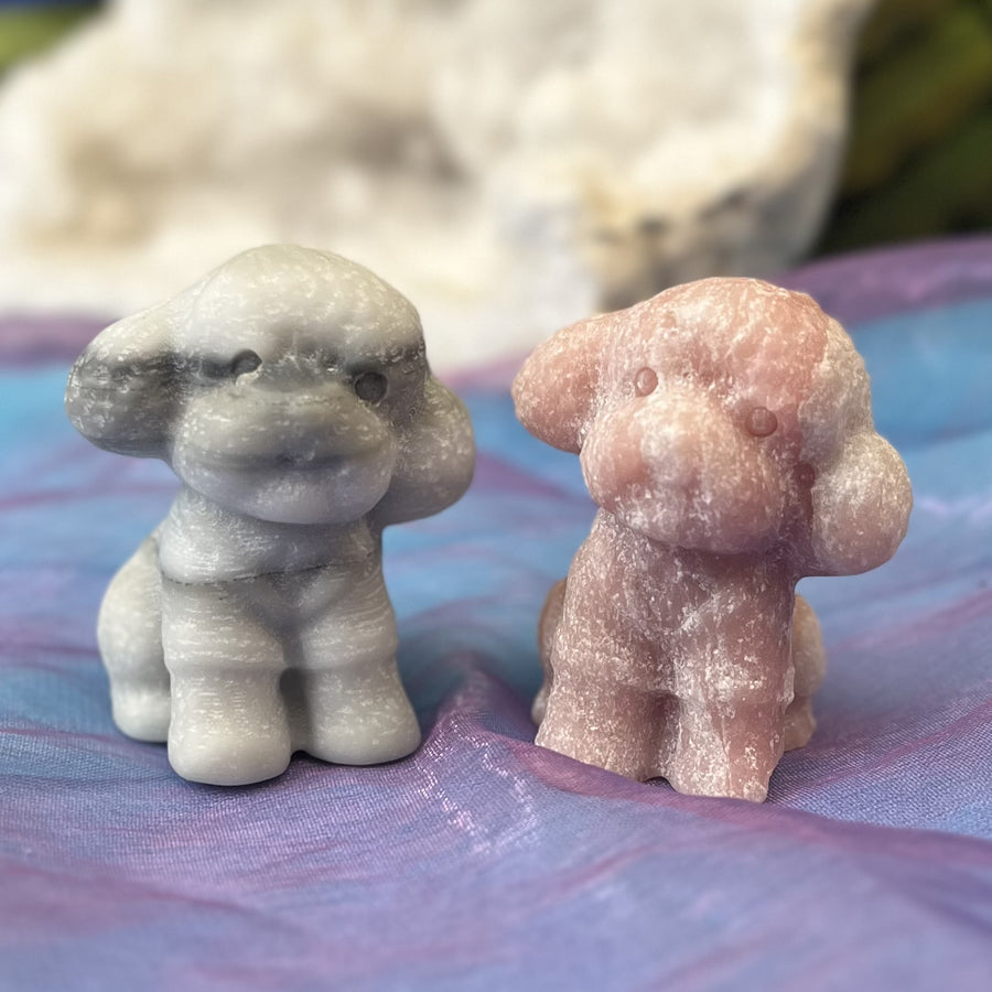 Crystal Toy Poodle Carving | Carpe Diem with Remi
