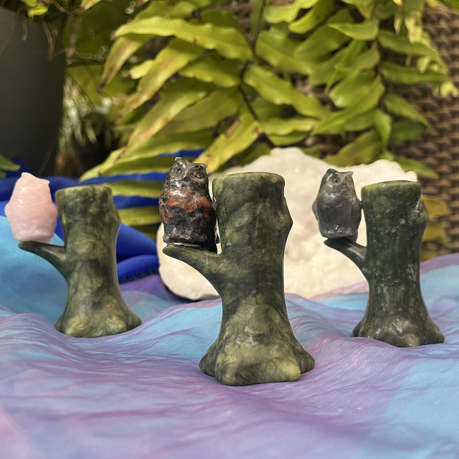 Crystal Owl on Serpentine Tree | Carpe Diem with Remi