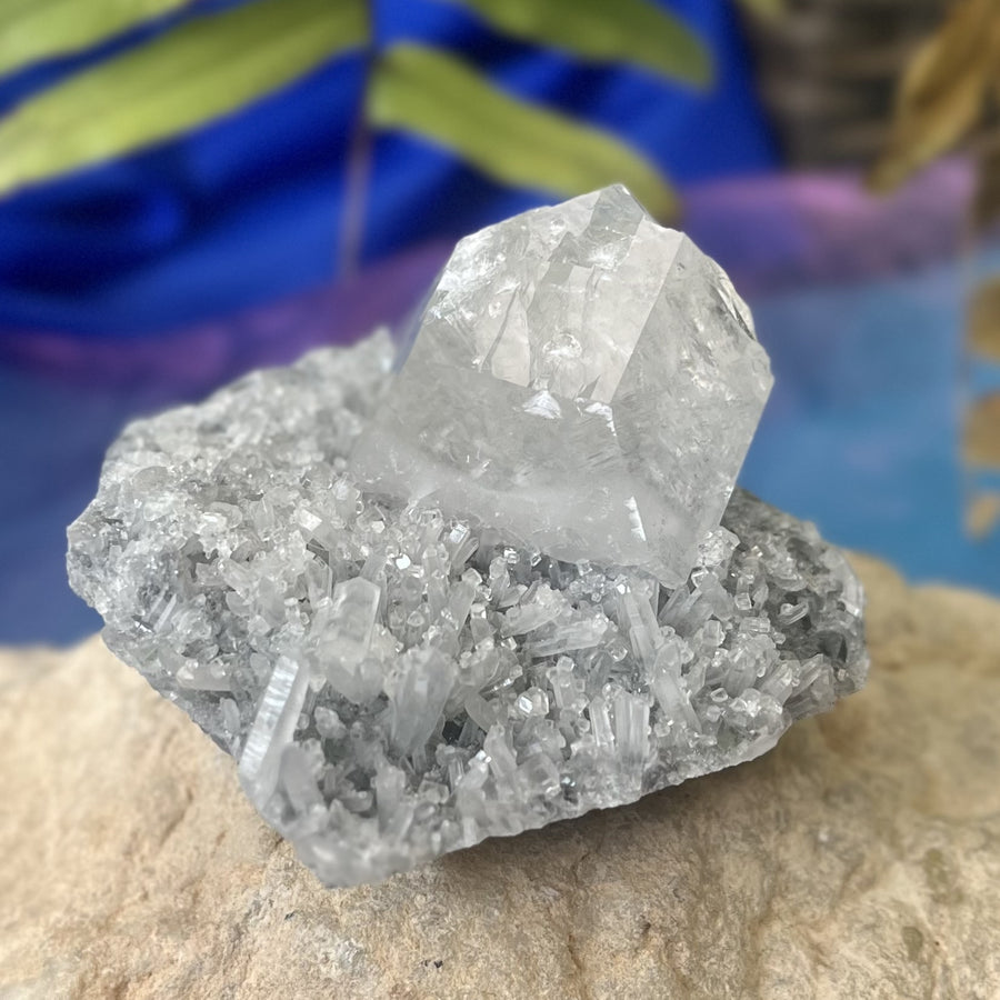 Clear Calcite Point with Baby Points | Carpe Diem with Remi