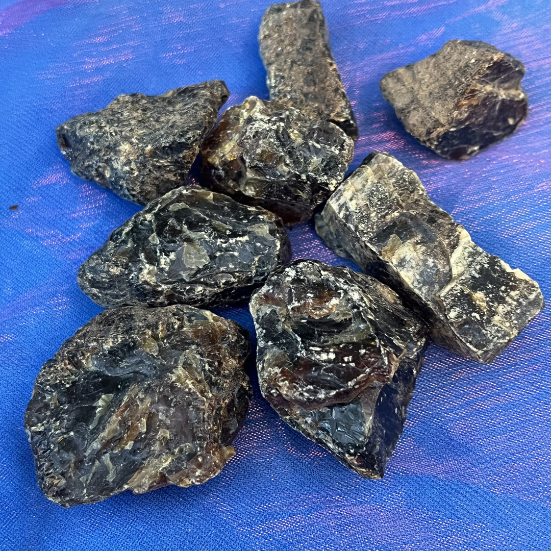 Amber Copal Raw Pieces | Carpe Diem With Remi