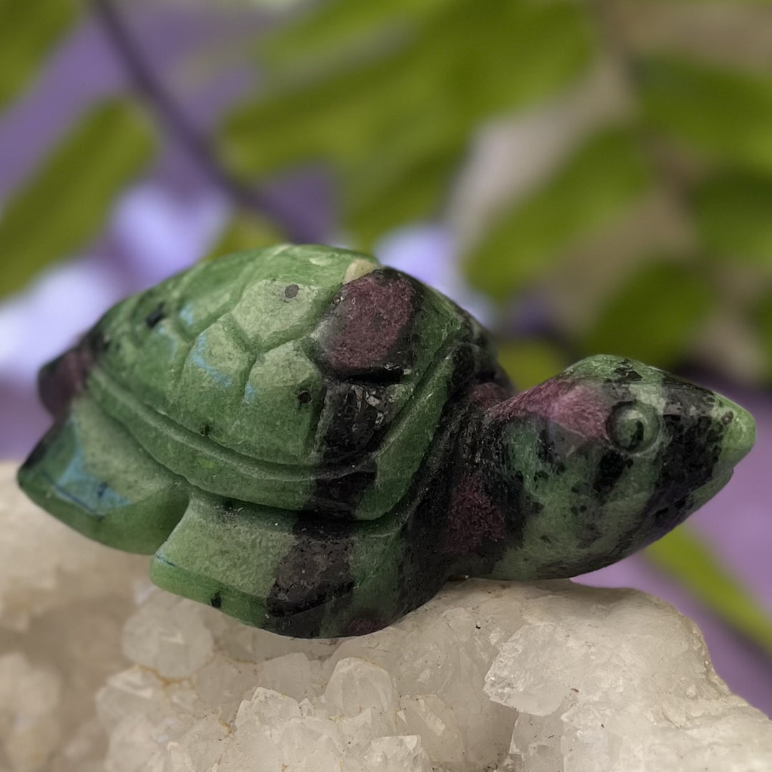 Turtle Ruby in Zoisite 7.6 cm