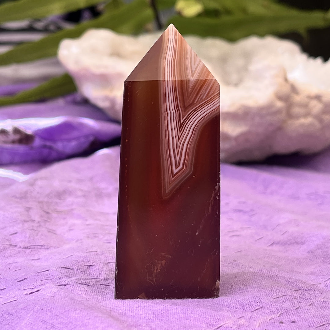 Point Carnelian 7.8 cm