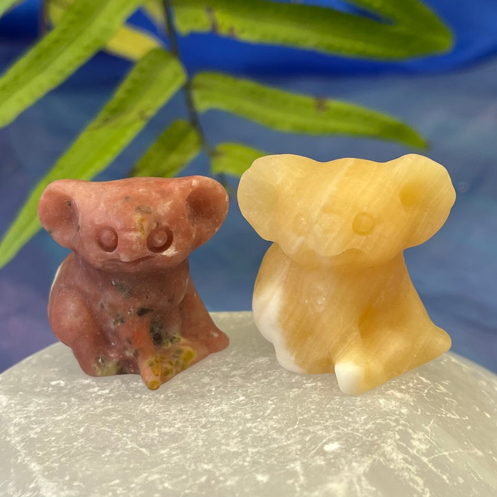 Koala Bear Carvings