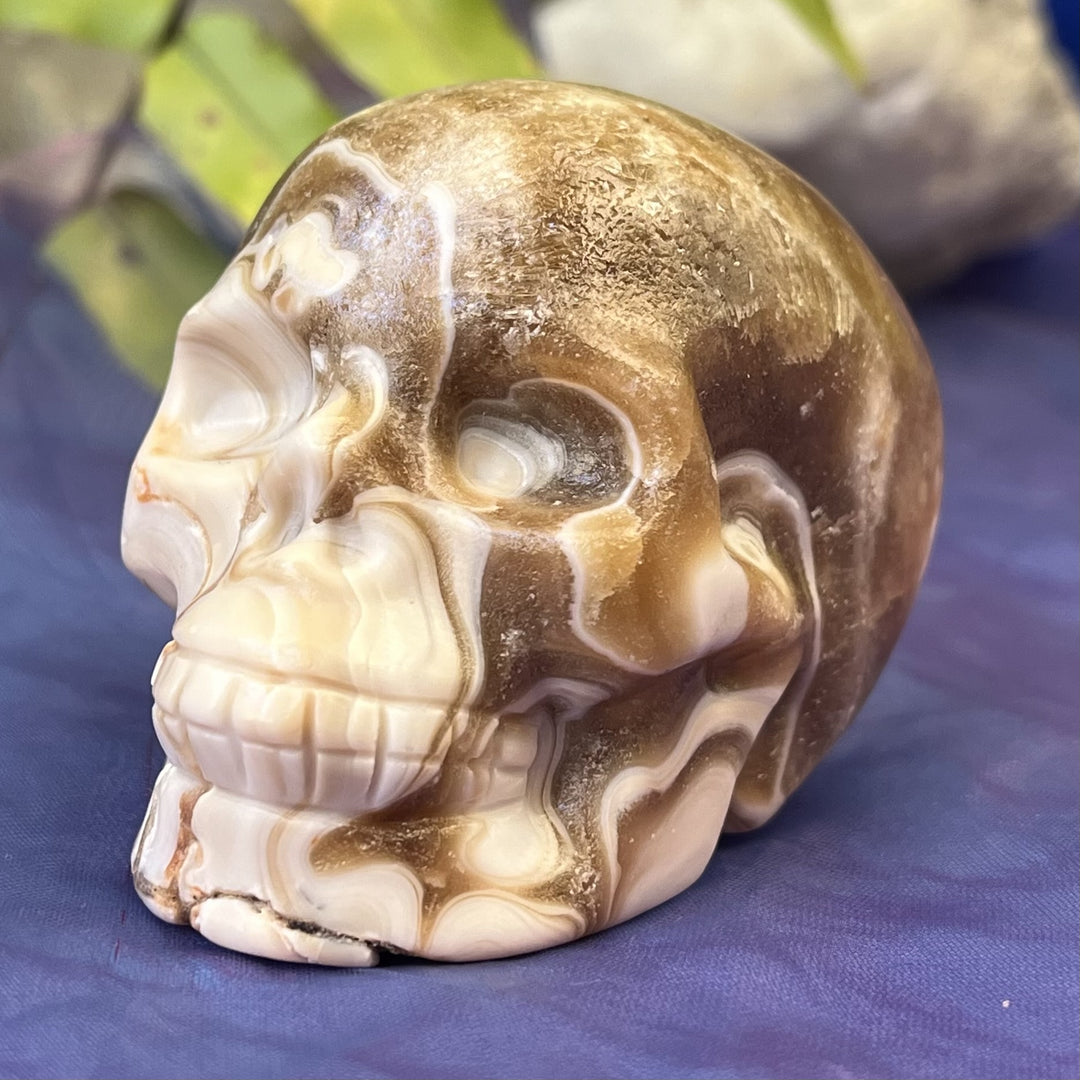 Skull Zebra Calcite 7.0 cm