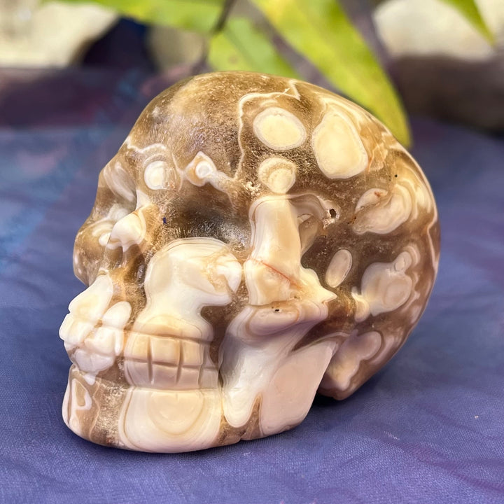 Skull Zebra Calcite 7.0 cm