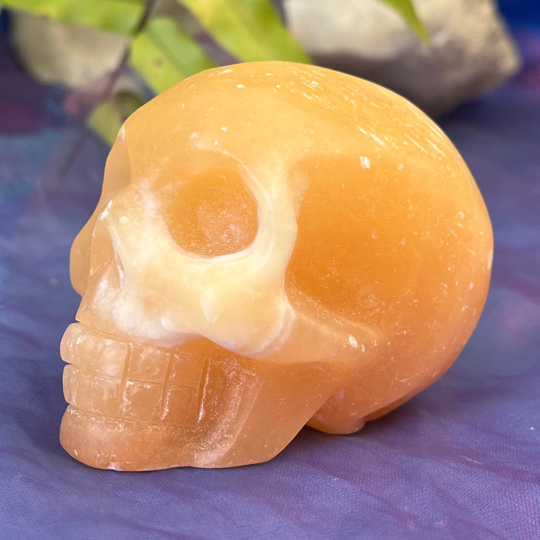 Skull Yellow Calcite Special Price
