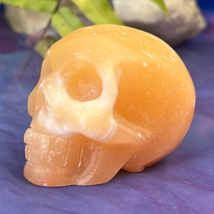Skull Yellow Calcite Special Price