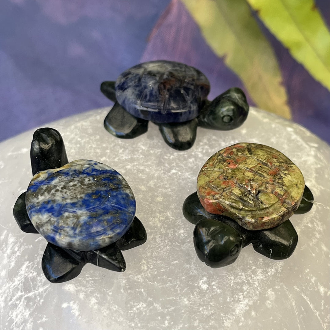 Turtle on Crystal Base