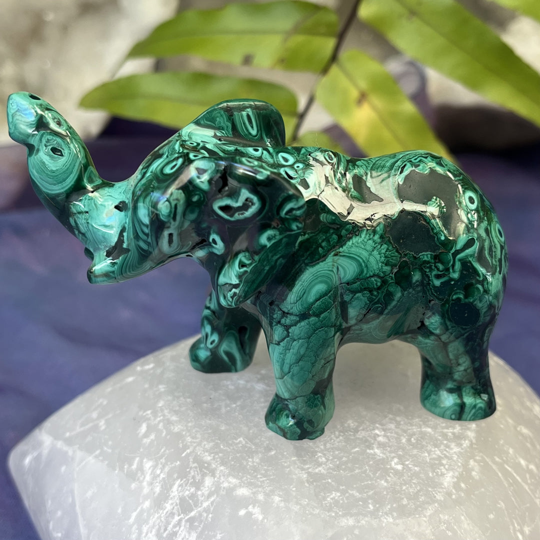 Elephant Malachite 9.5 cm