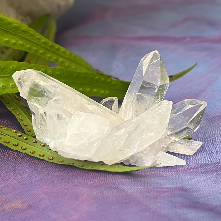 Clear Quartz Cluster Raw