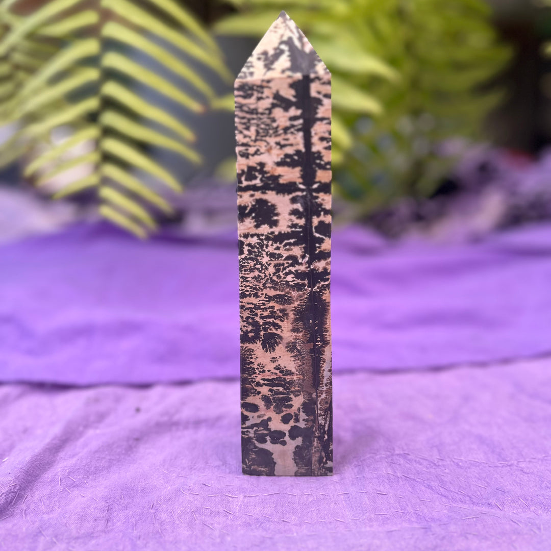 Tower Picture Jasper XL