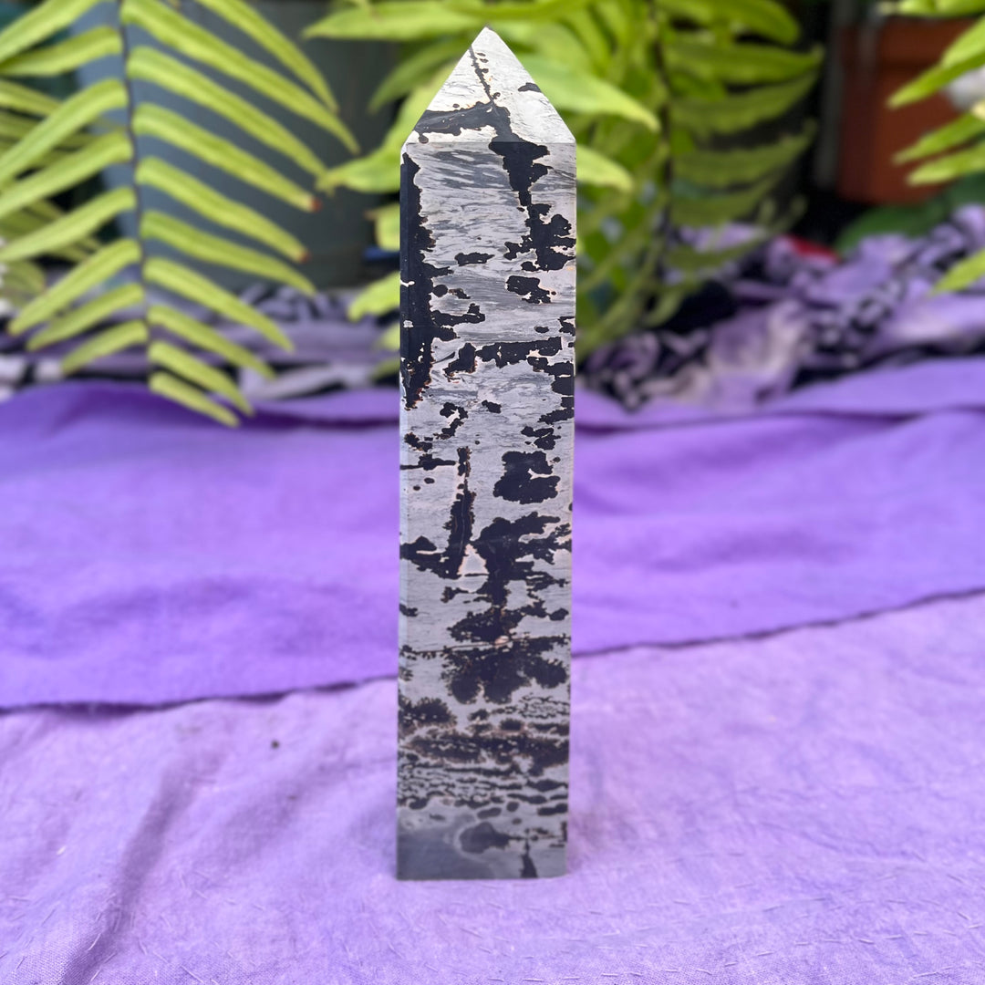 Tower Picture Jasper XL