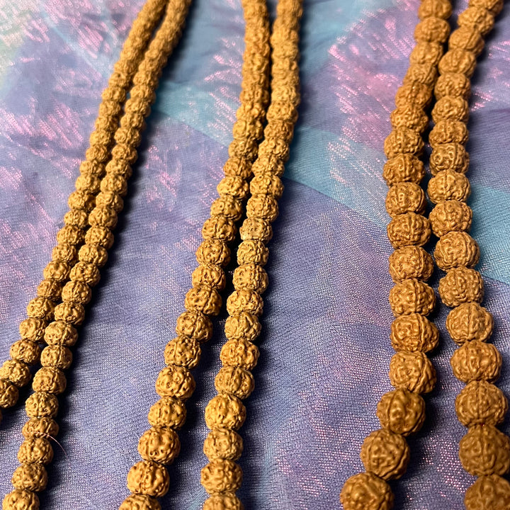 Mala Beads Rudraksha Seed Plain