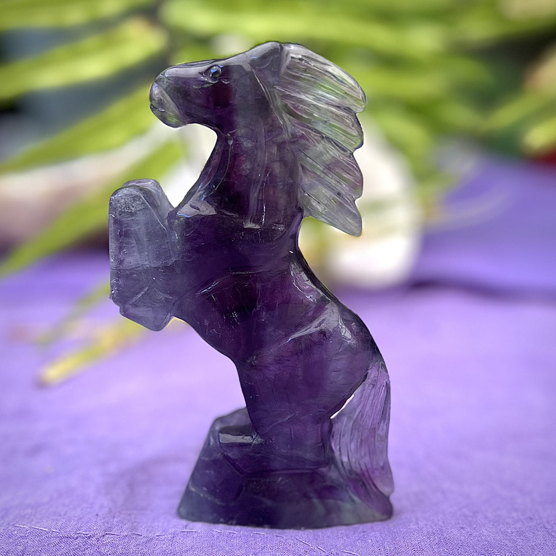 Horse Fluorite Rearing 14.7 cm