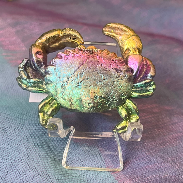 Mystical Rainbow Creature on Stand | Carpe Diem With Remi