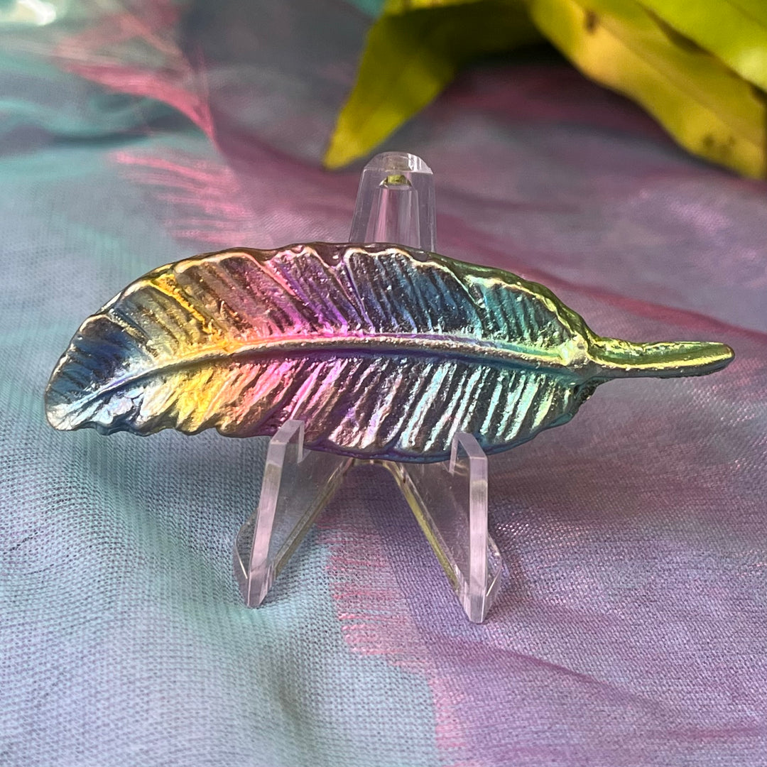 Mystical Rainbow Creature on Stand | Carpe Diem With Remi