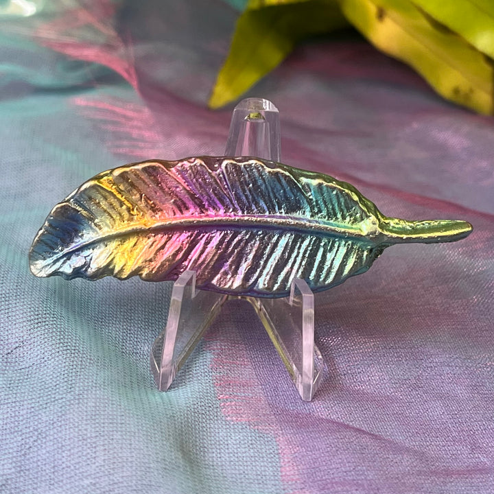 Mystical Rainbow Creature on Stand | Carpe Diem With Remi