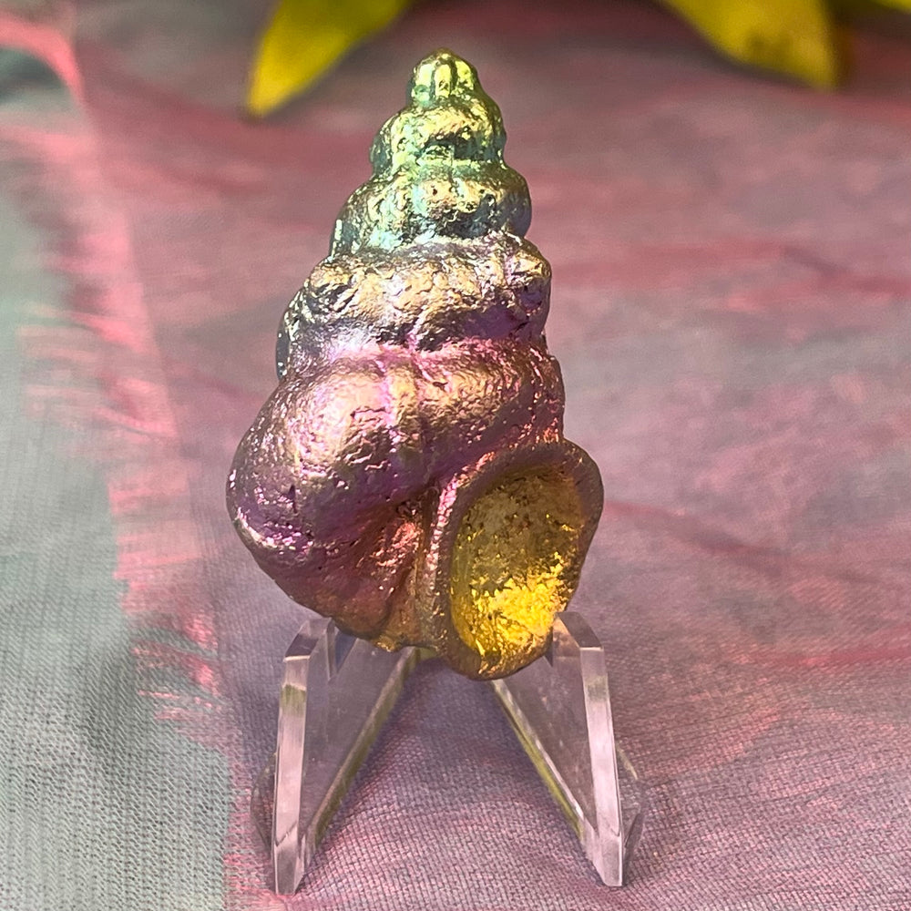 Rainbow Metal Mystical Creatures with Stand | Carpe Diem With Remi