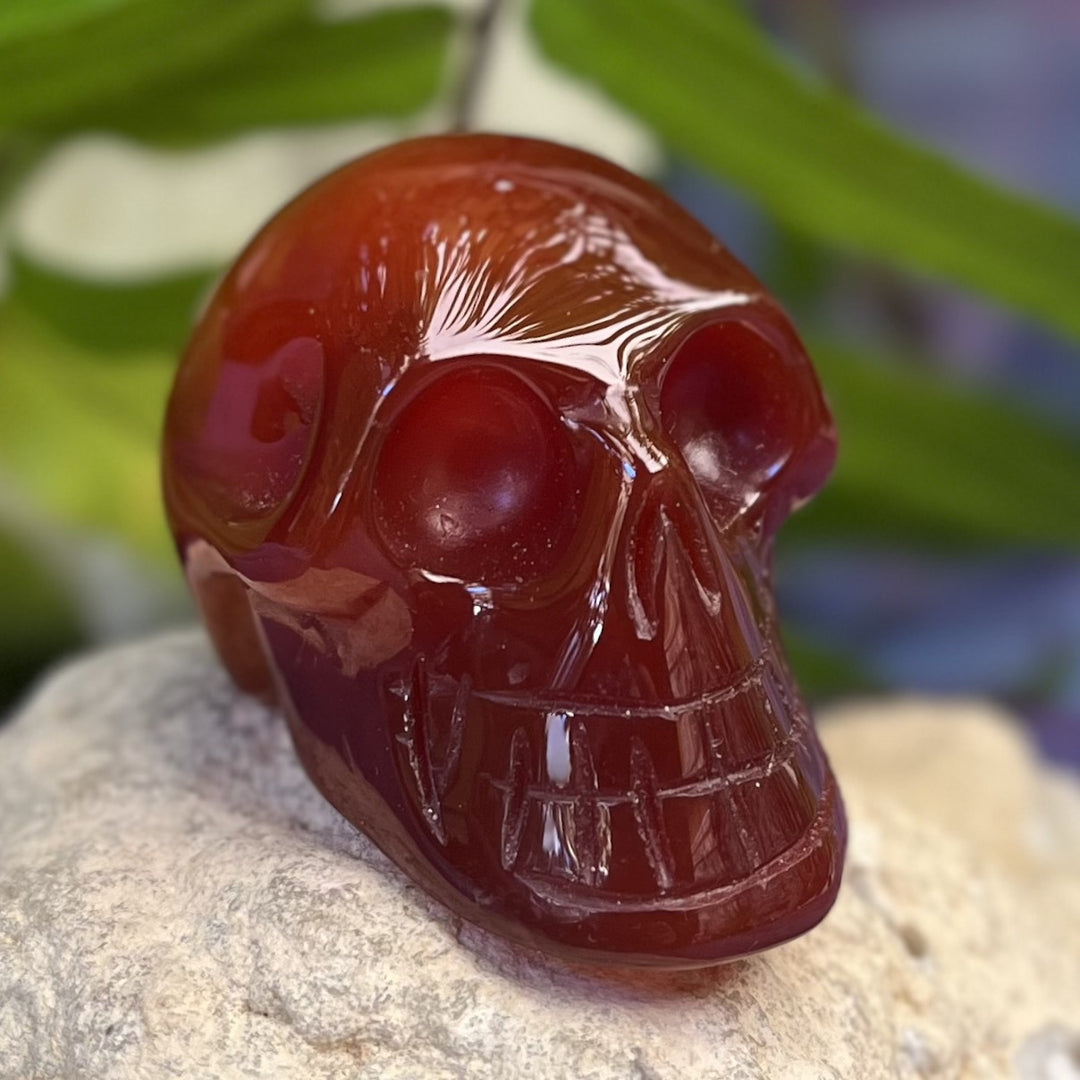 Skull Carnelian Red 5.2 cm