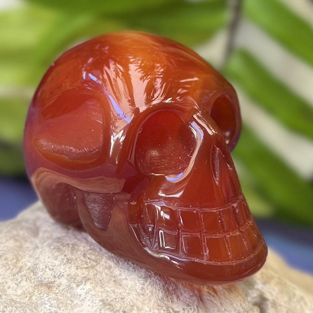 Skull Carnelian Red 5.20  cm